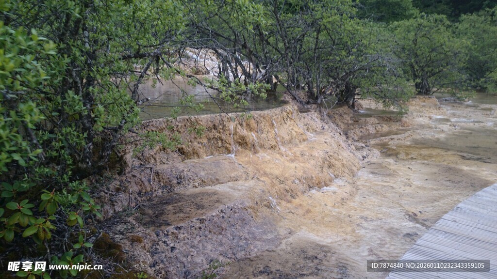 山间泥泞小径与绿植景观