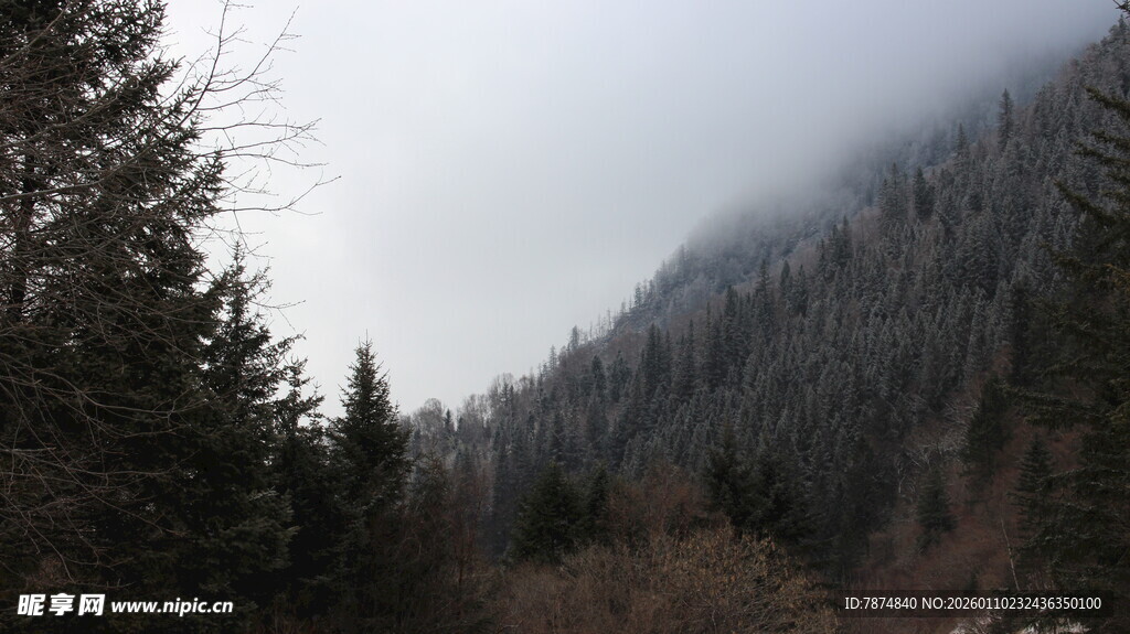 山林云雾缭绕的静谧景致