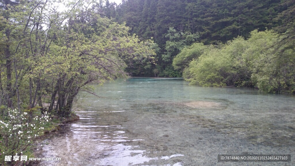 山间清澈溪流风景