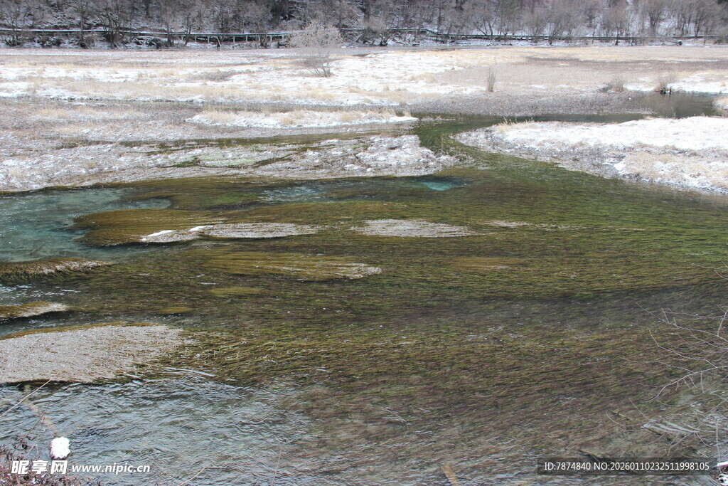 清澈浅滩中的绿色水域
