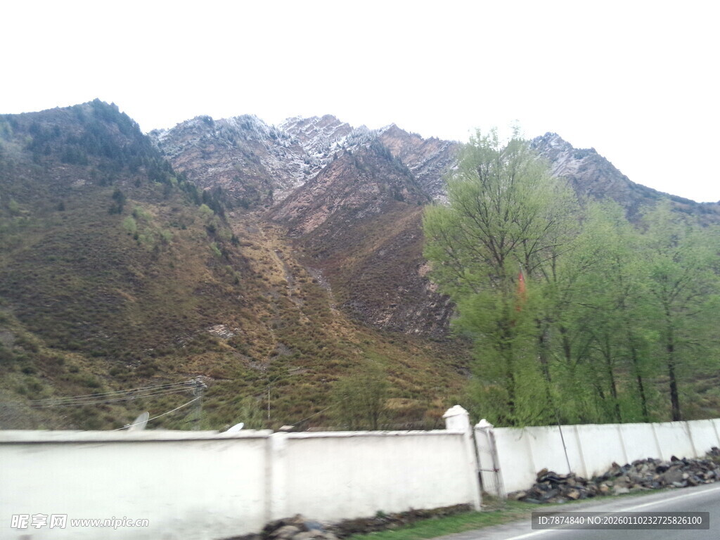 山边公路旁的葱郁树木