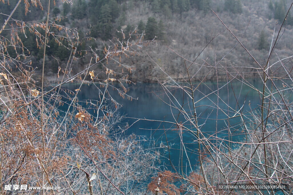 冬日蓝湖与岸边枯苇