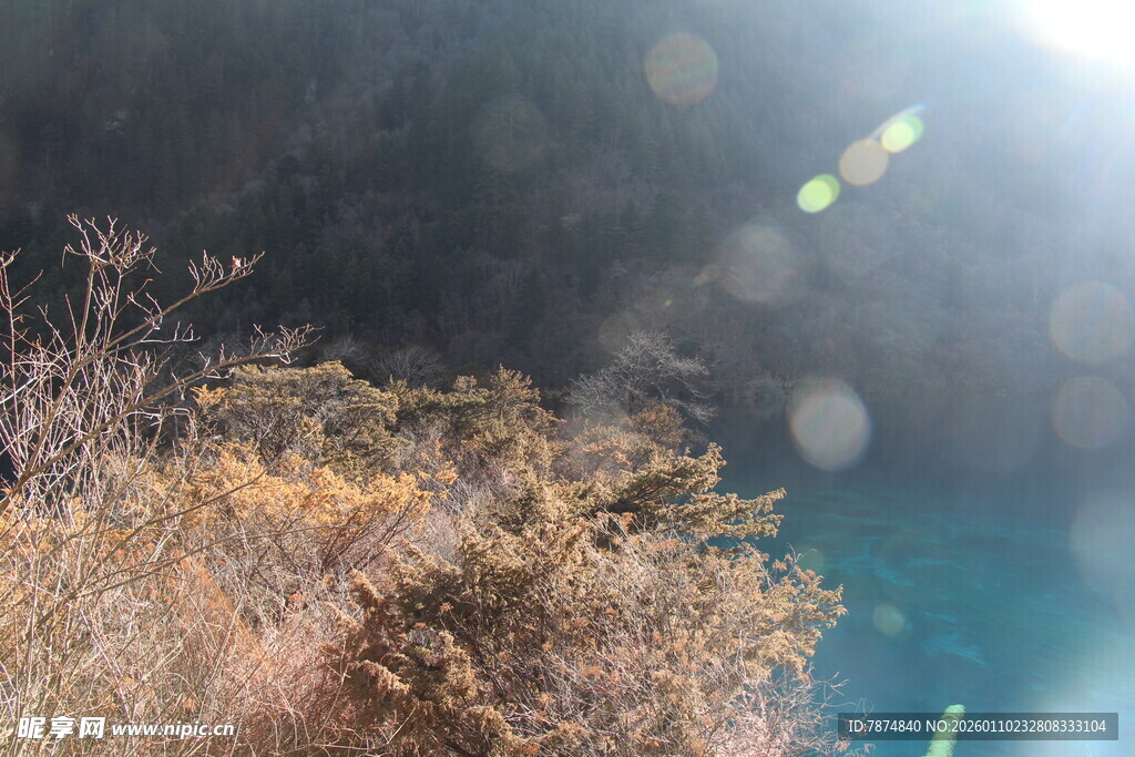 山间蓝湖旁的枯黄植被