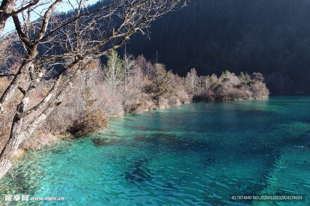 九寨沟蓝绿色湖水美景