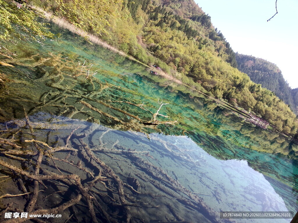 清澈水底与岸边绿植景观