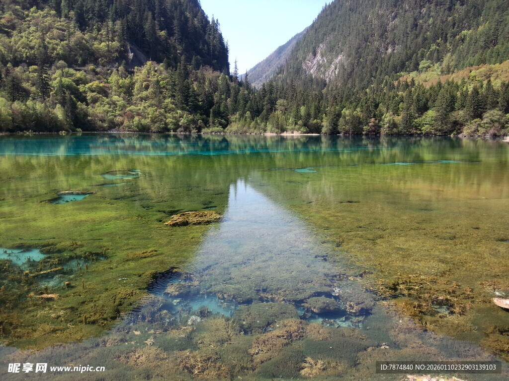 九寨沟清澈碧绿的湖水