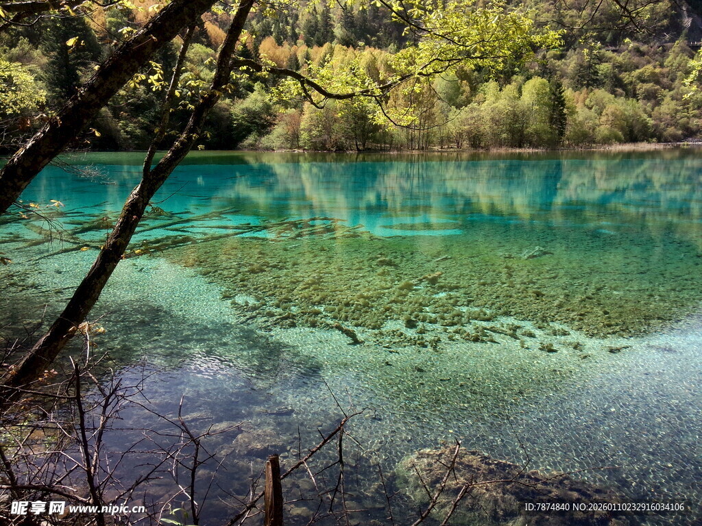 九寨沟清澈碧绿的湖水