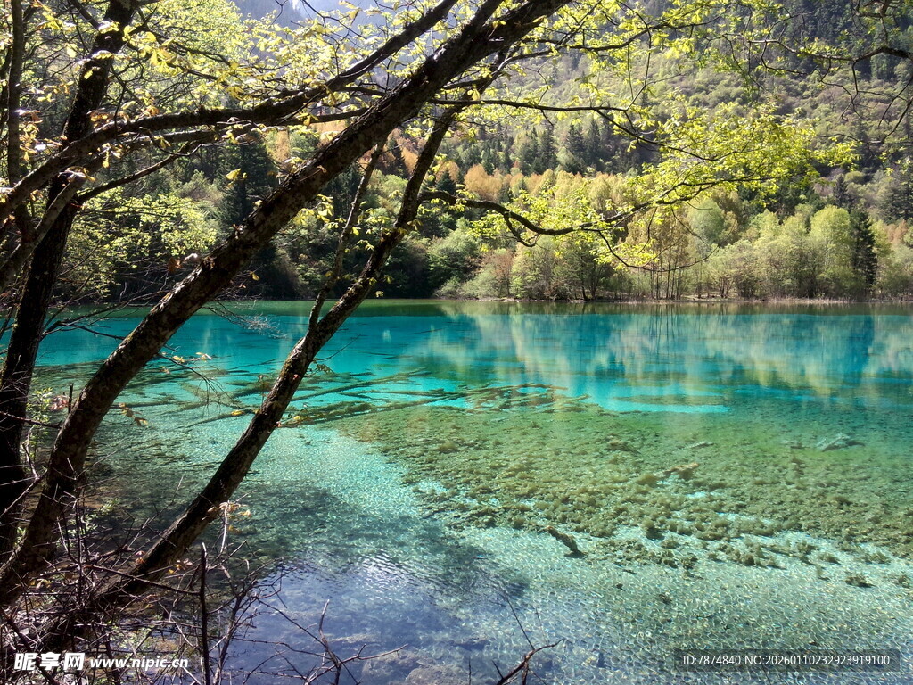 清澈幽蓝的森林湖泊