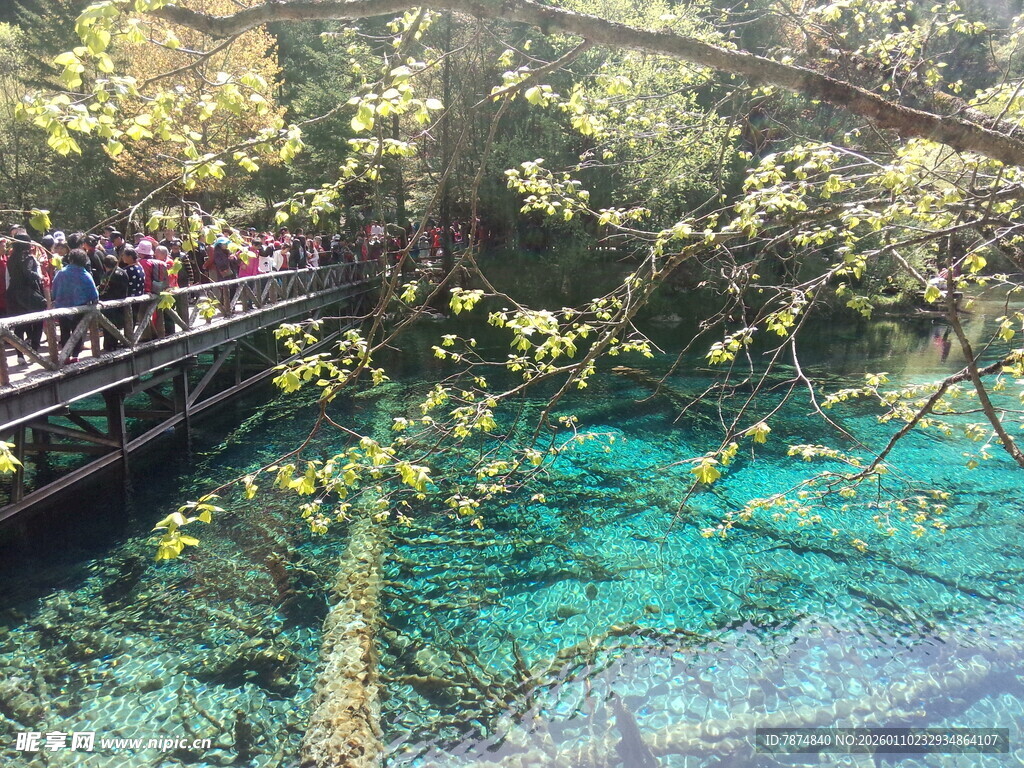 梦幻蓝绿潭边的观景栈道