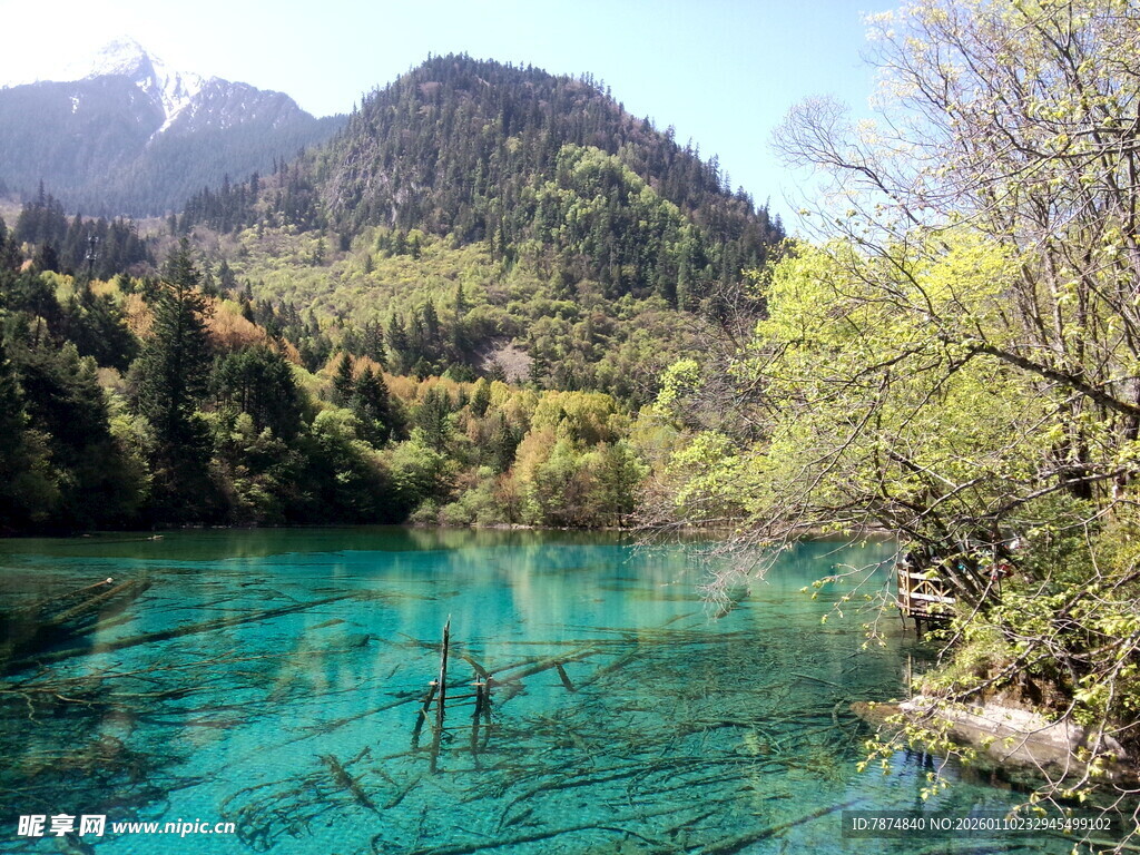 九寨沟清澈碧绿的湖水