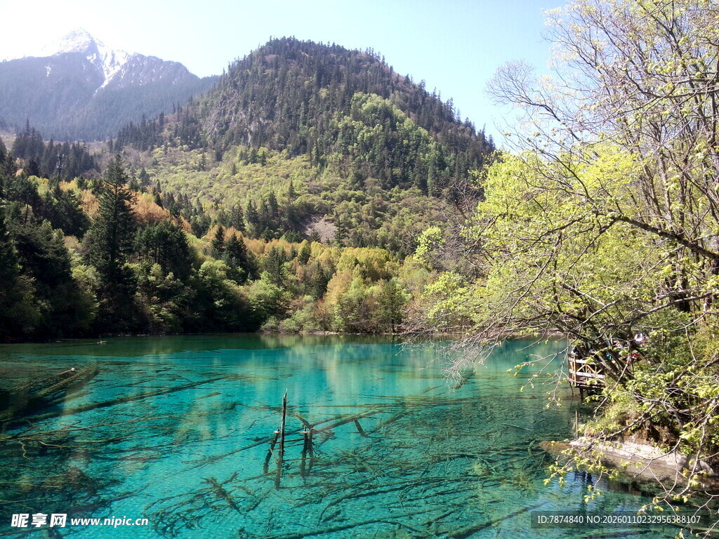 清澈碧绿的山间湖泊美景
