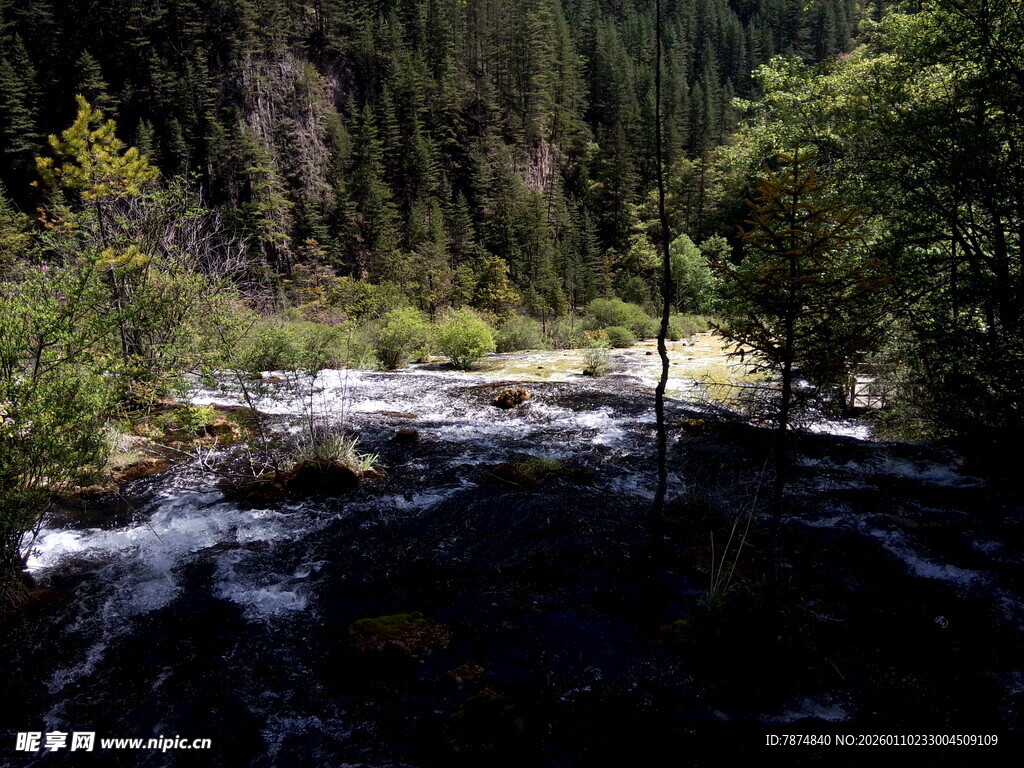山间溪流穿林而过