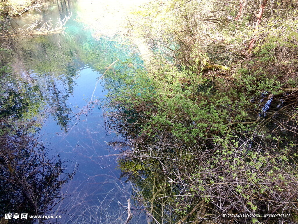 山间清澈溪流与繁茂植被