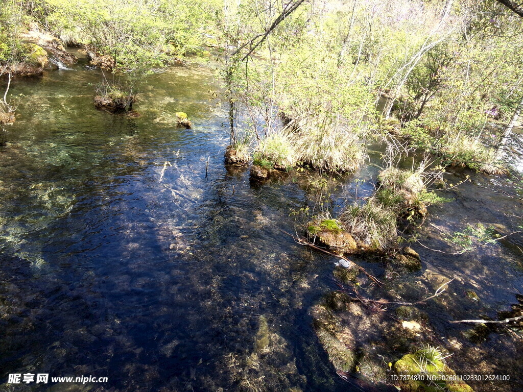 山间清澈溪流风景