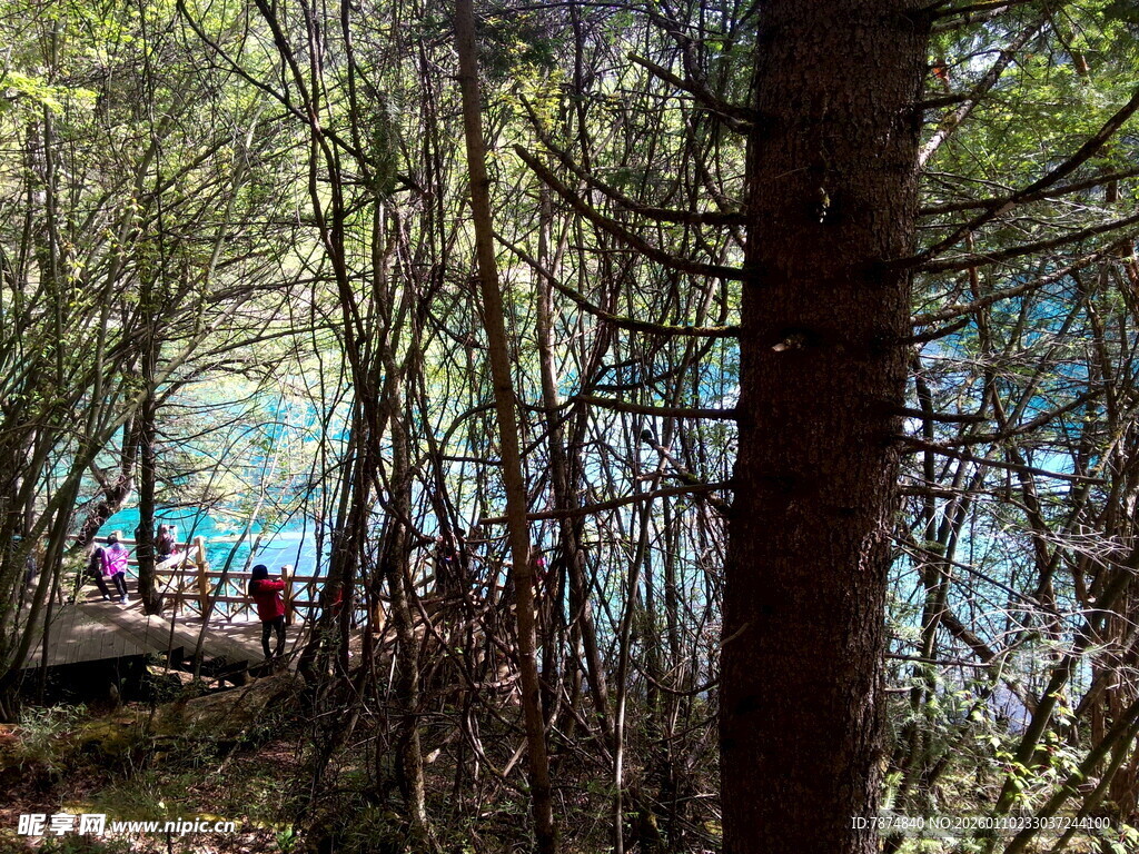 林间湖畔的休闲场景