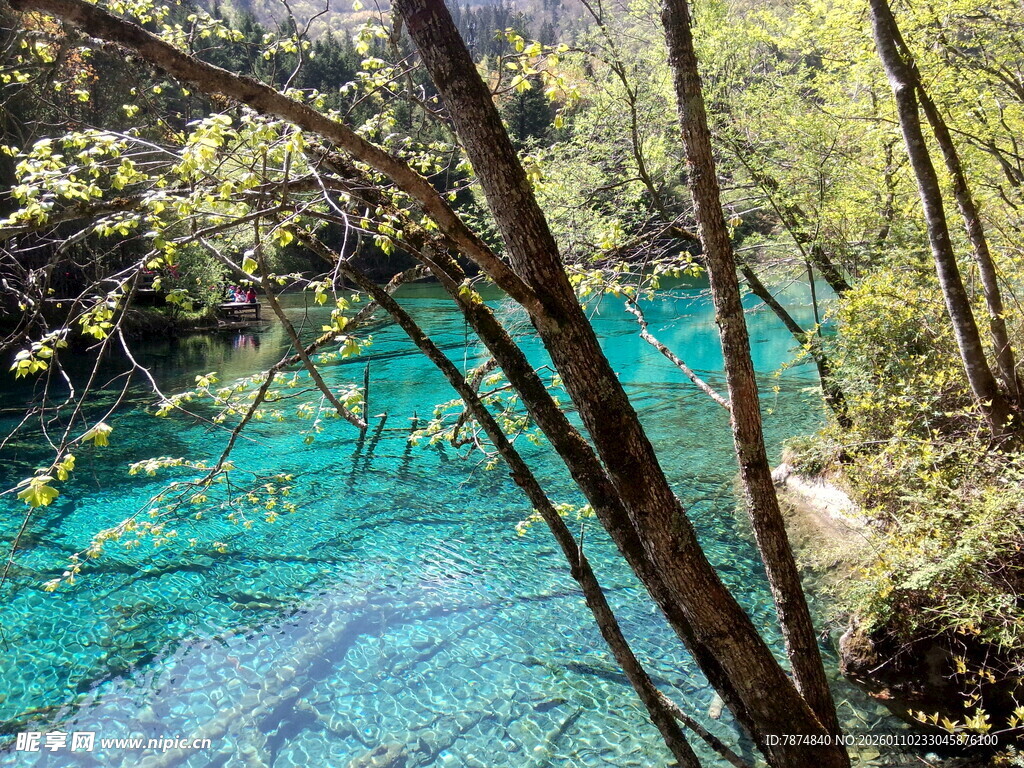 九寨沟绝美蓝绿色湖水