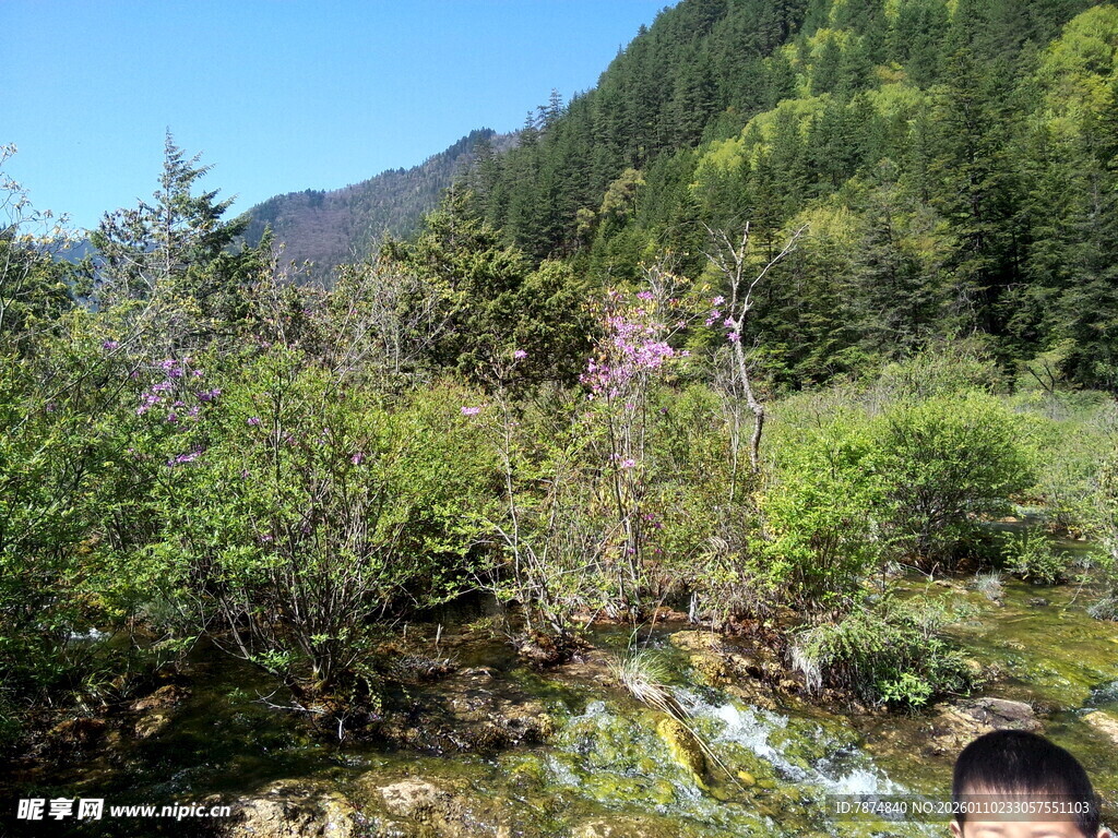 山间溪边的烂漫自然风景
