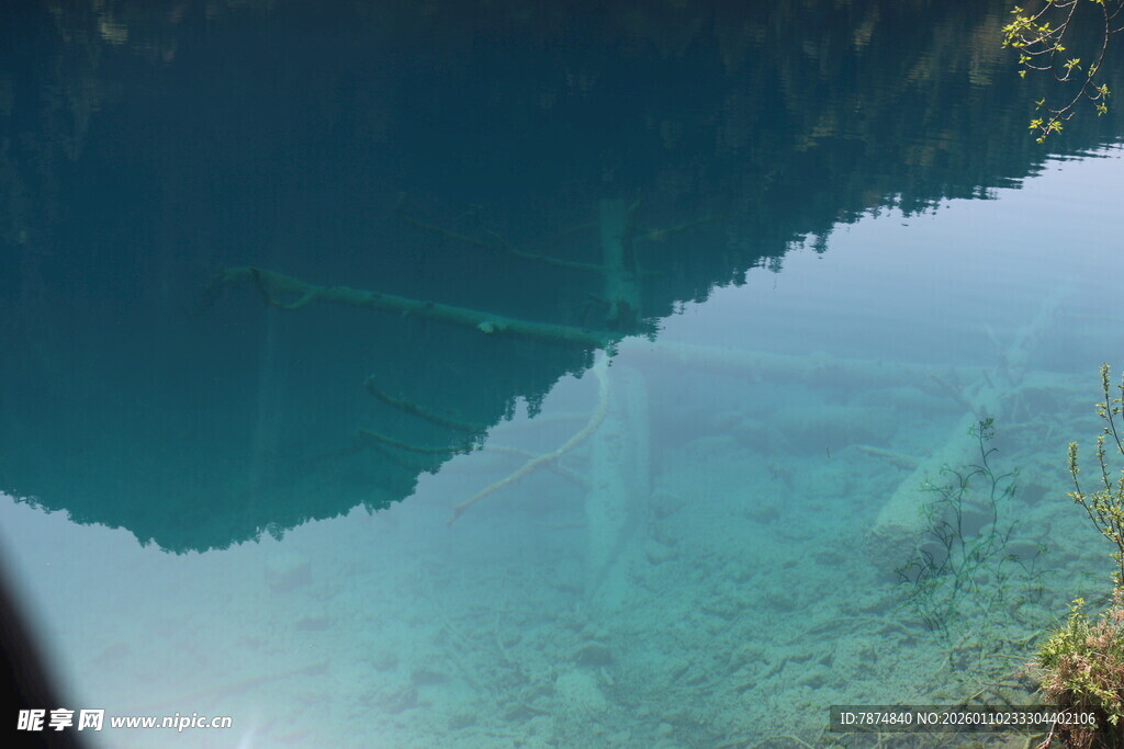 清澈水底的神秘景象