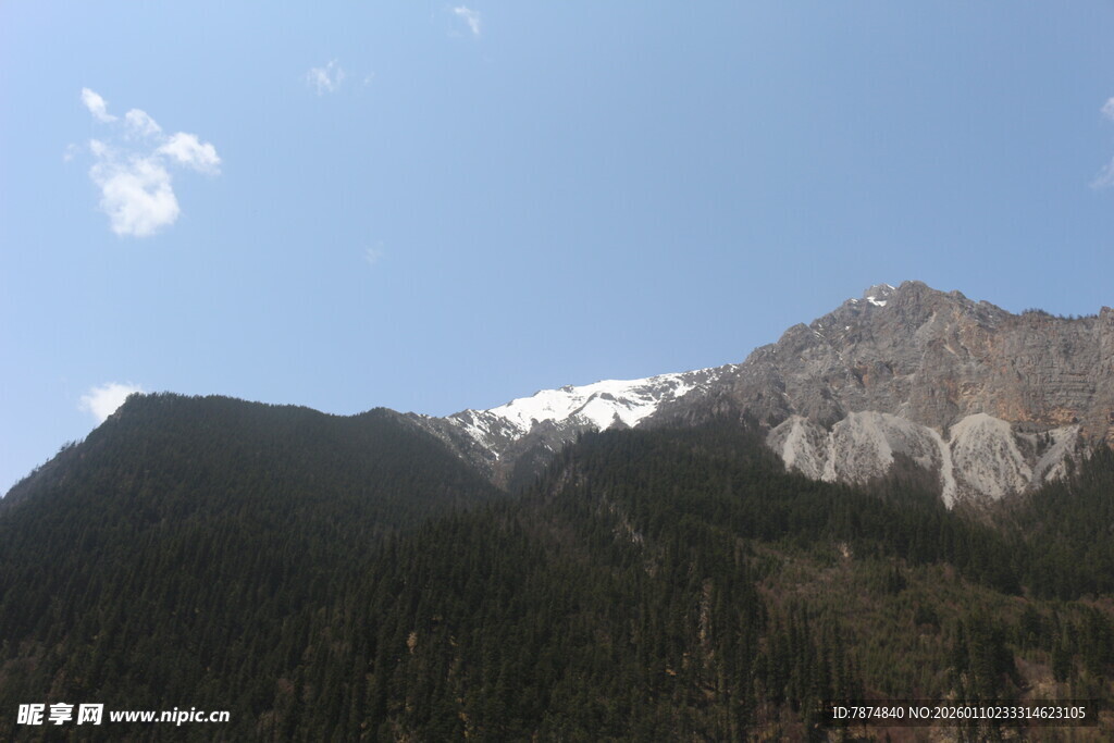巍峨雪山下的葱郁山林