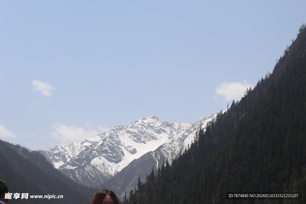 雪山森林壮丽自然景观