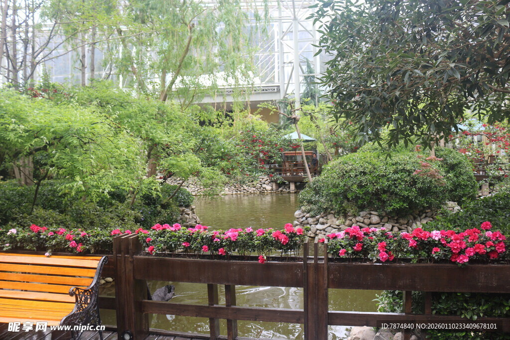花园中的木桥与缤纷花卉
