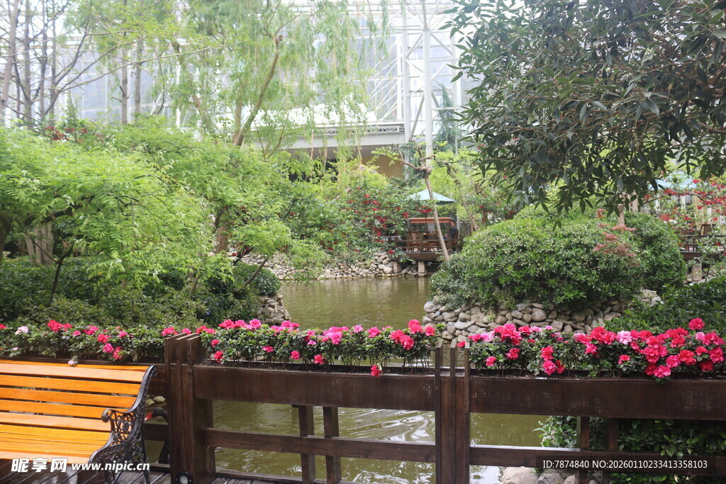 花园中的木桥与缤纷花卉