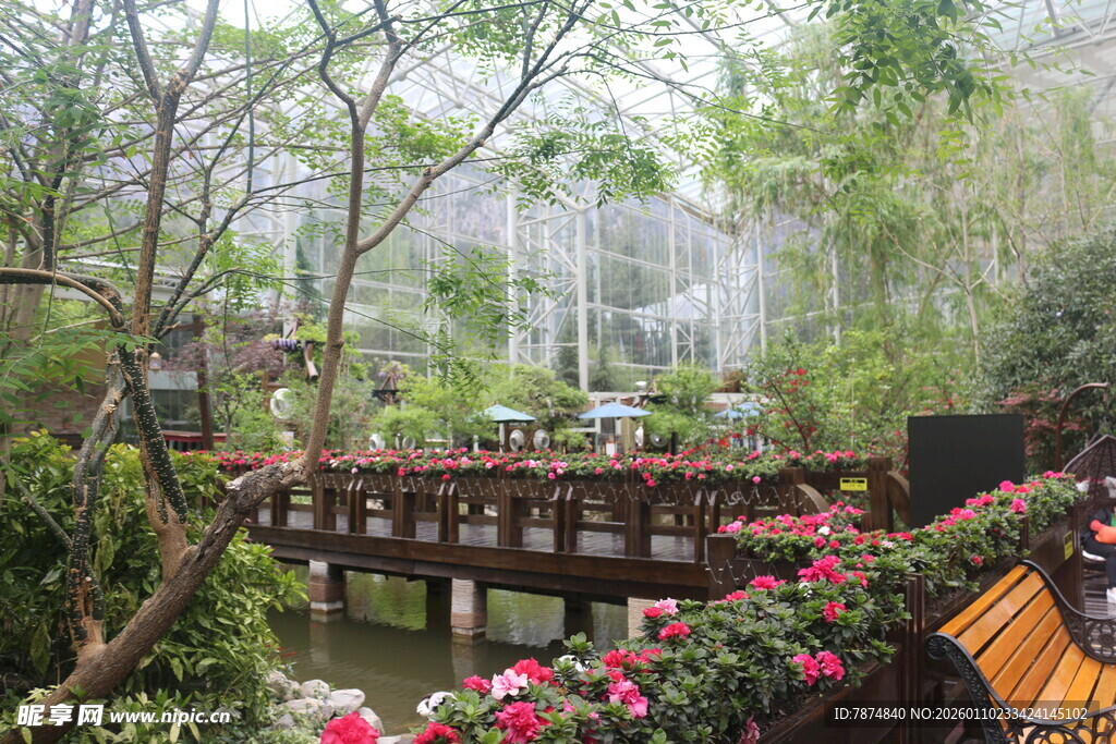 园林美景中的花卉与桥梁