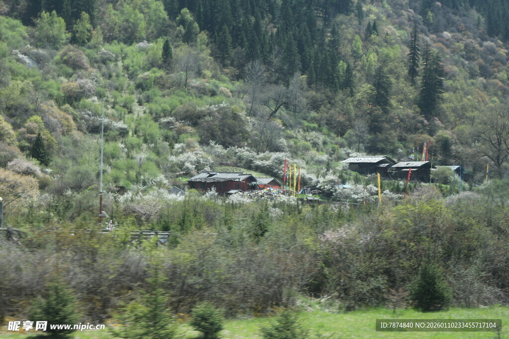 山间村落隐于葱郁草木间
