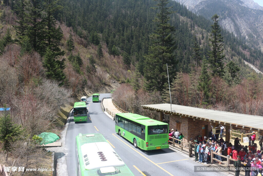 景区外排队等候的绿色巴士