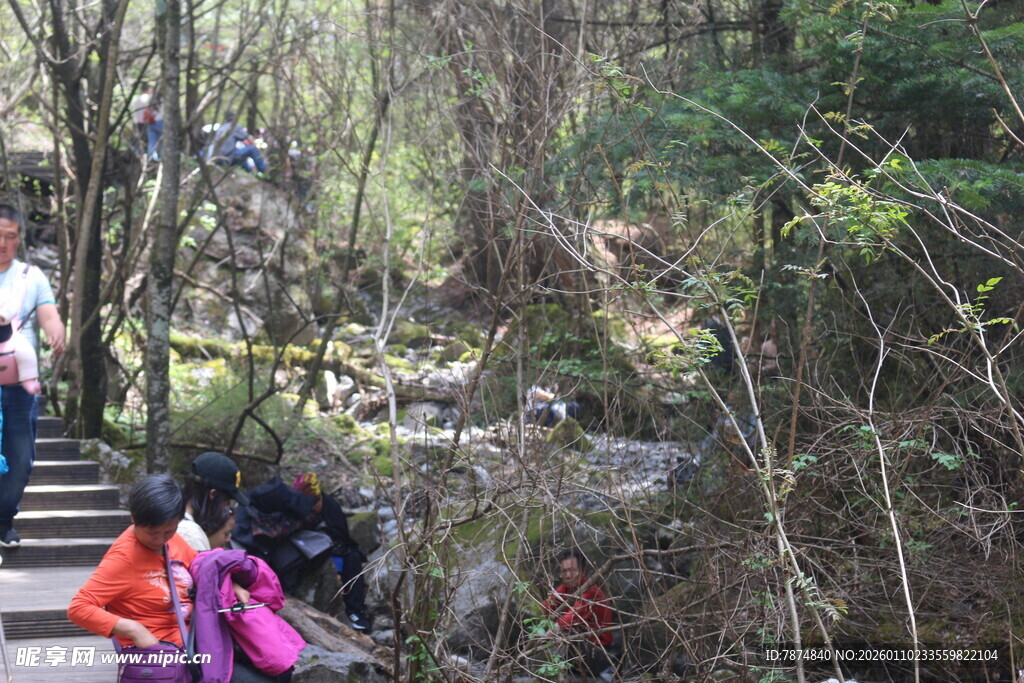 山林中徒步的背包客队伍