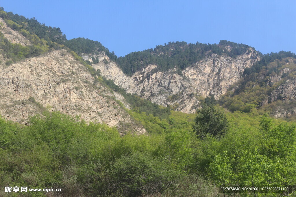 青山绿树环绕的壮美山景