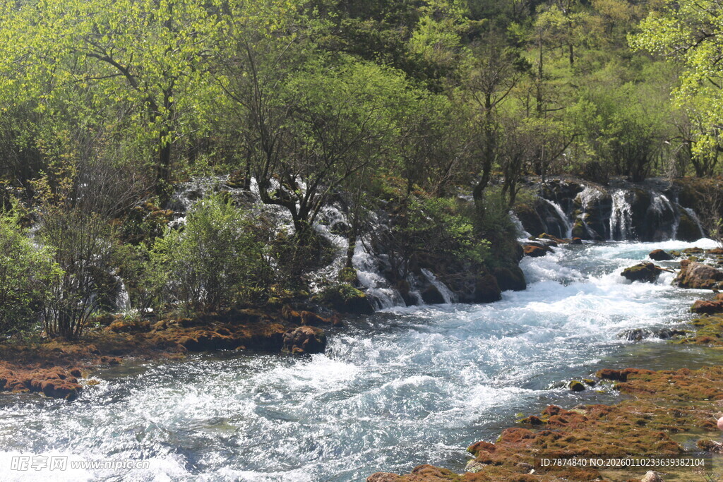 山间溪流潺潺 绿意盎然