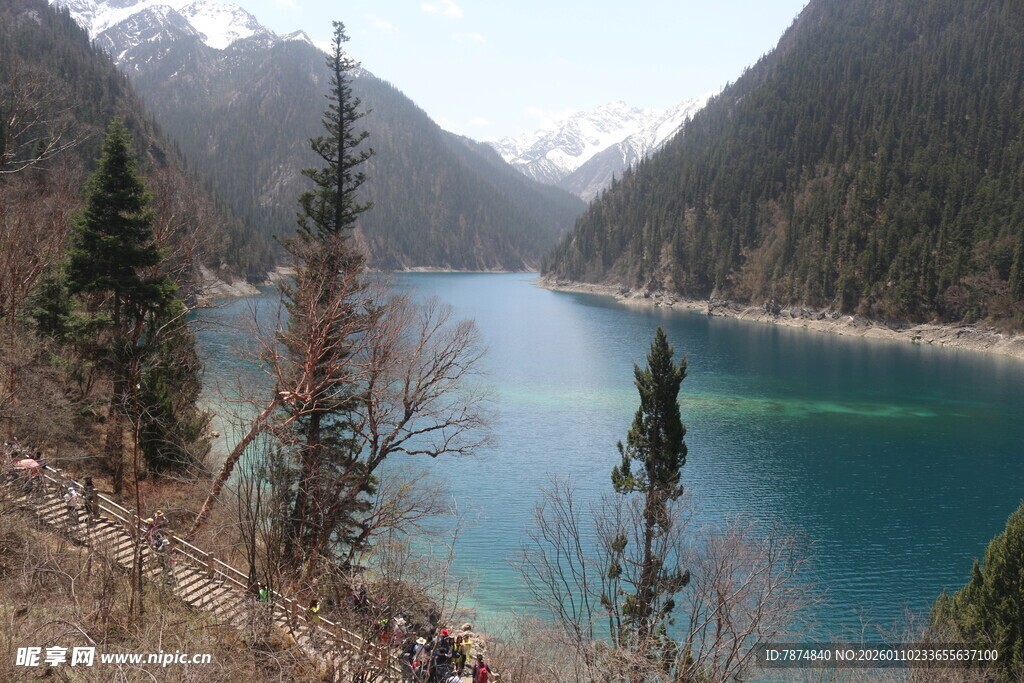 山间蓝湖与挺拔树木景观