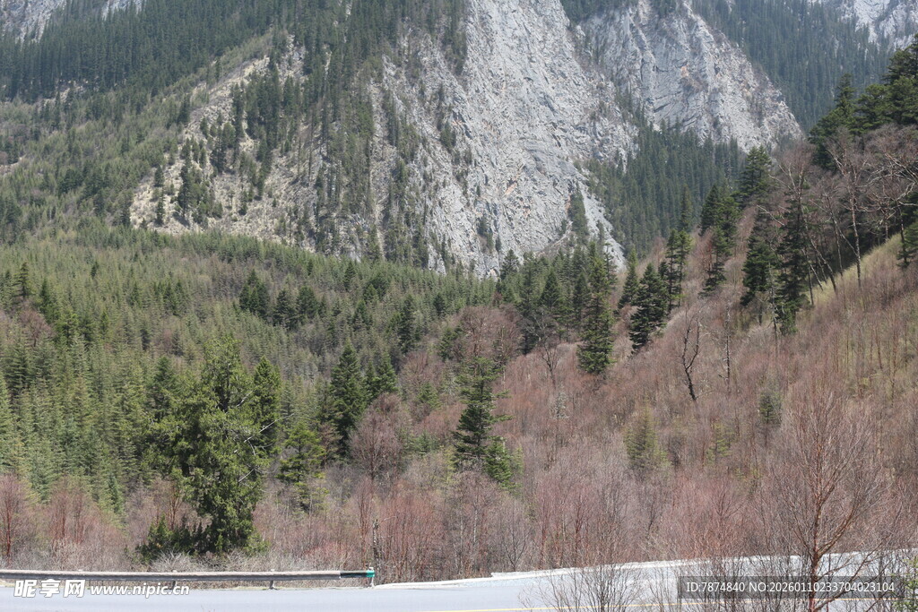 山间景色 山林与峭壁相依