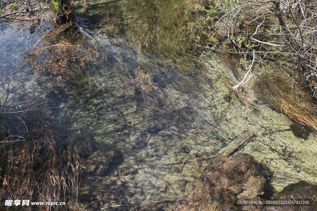 清澈水底的自然景象