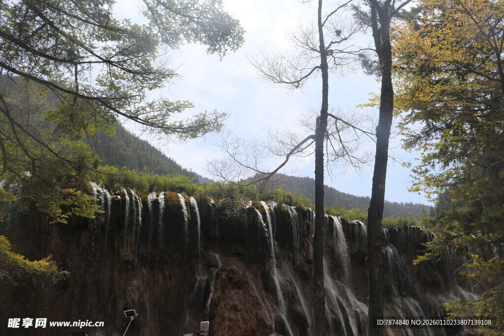 山间瀑布 林木环绕之景