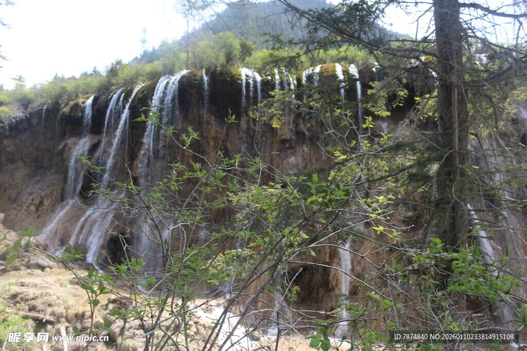 山间瀑布旁的葱郁景致