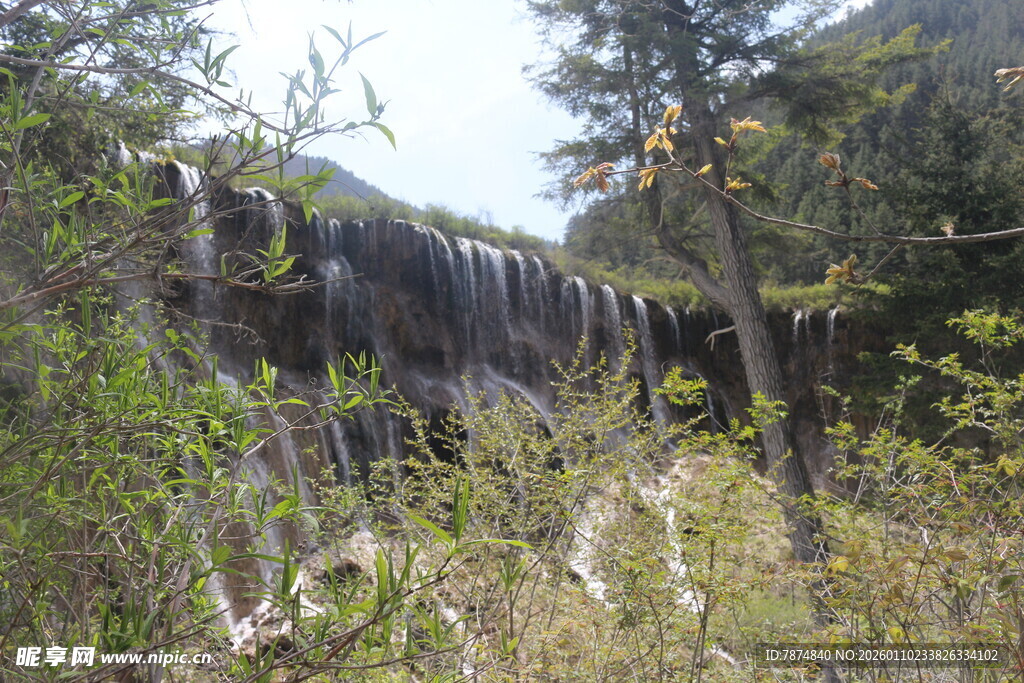 山间瀑布隐于葱郁植被中