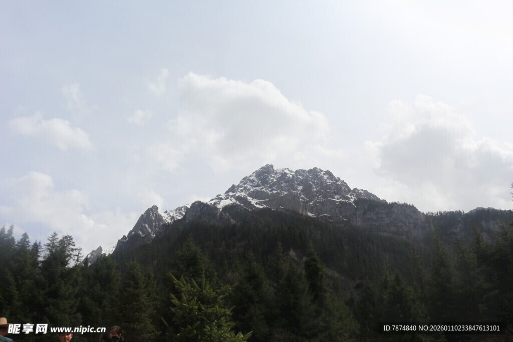巍峨山峦与葱郁林木