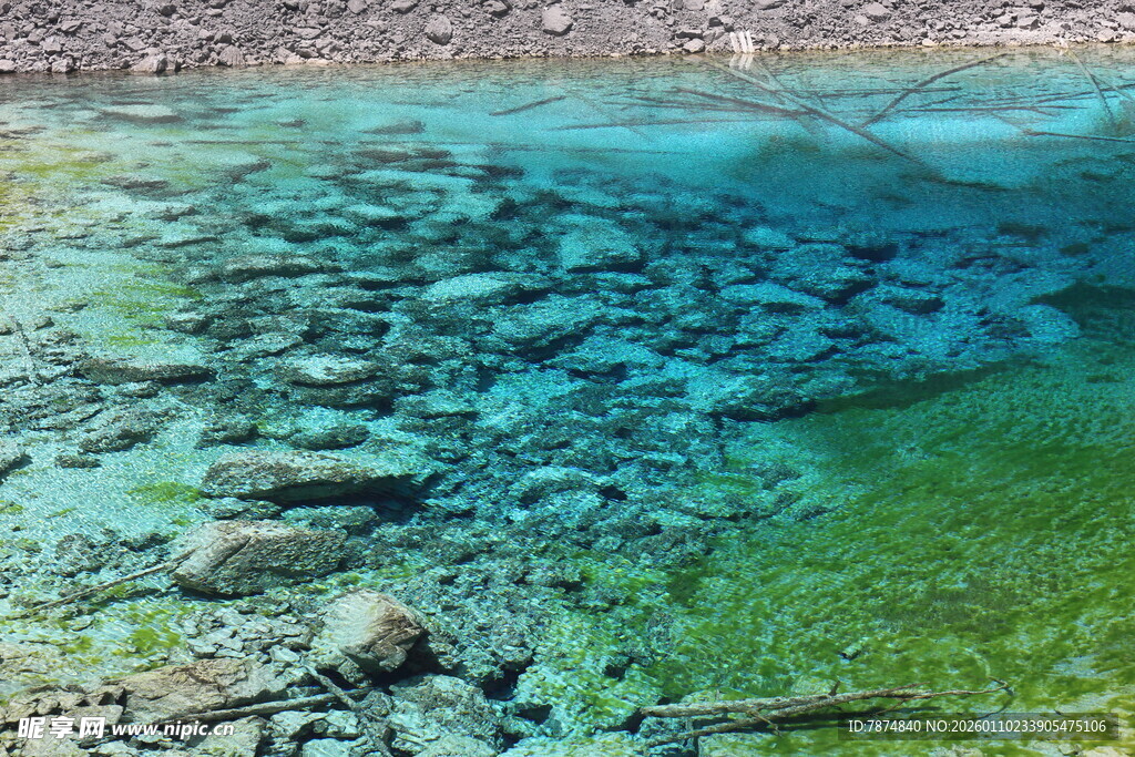 清澈水底的石块与绿植
