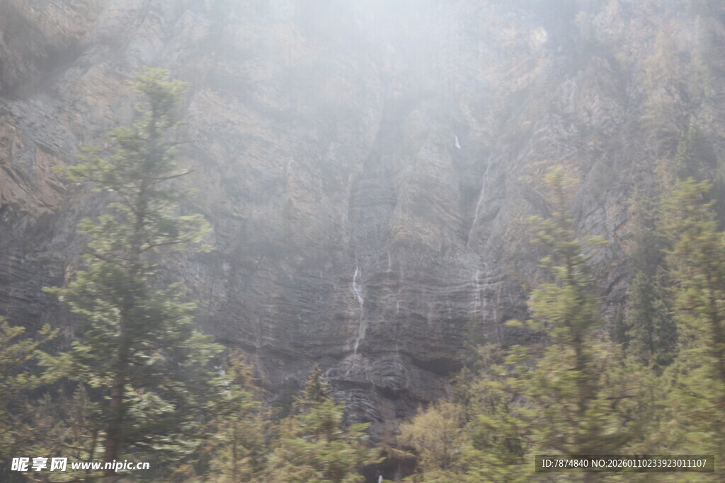 山林迷雾中的葱郁树木