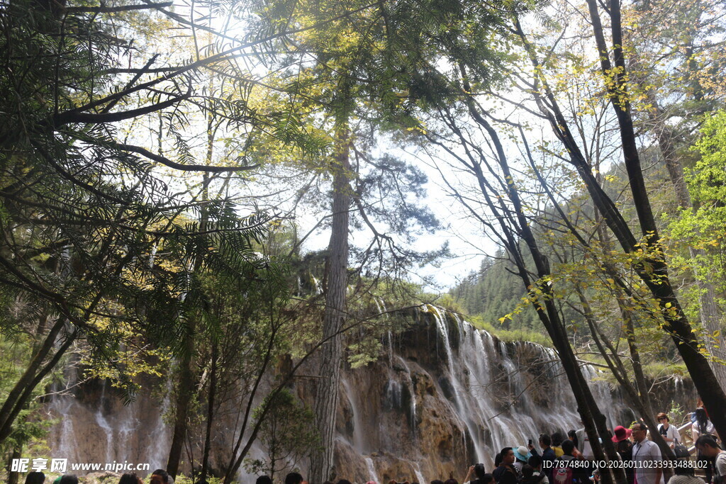 森林中壮观的瀑布景观