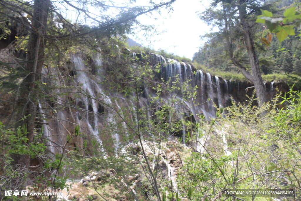 山间瀑布下的绿意景致