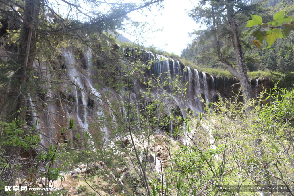 山间瀑布下的繁茂植被