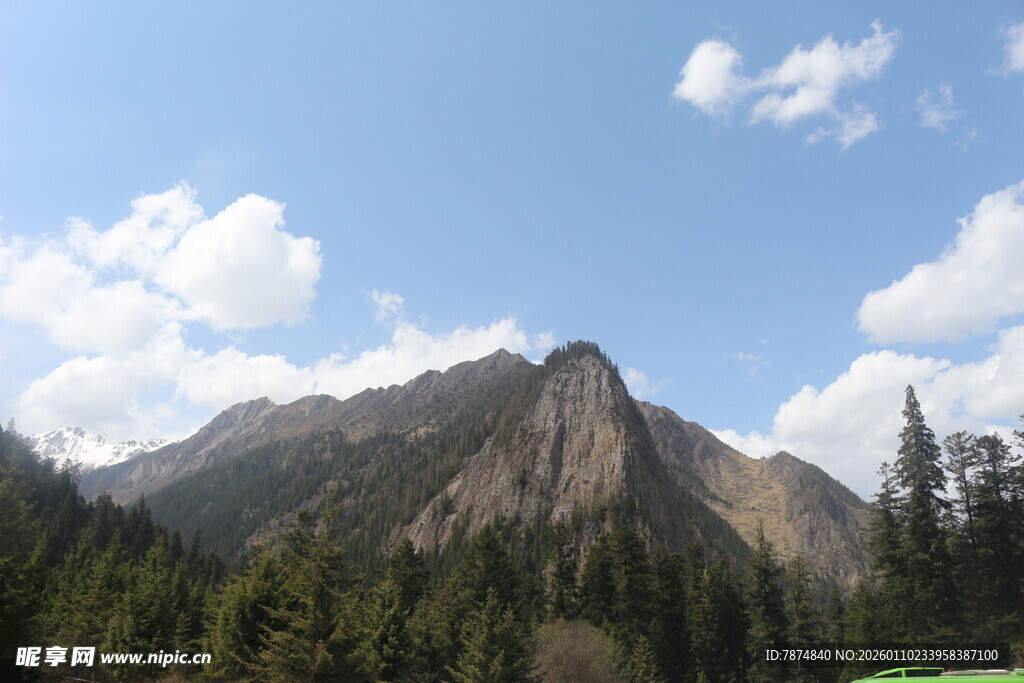 巍峨山峦与葱郁林木景观