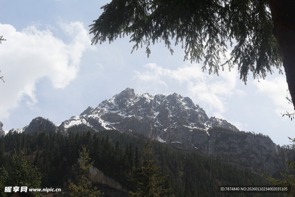 巍峨山峦与葱郁林木景观