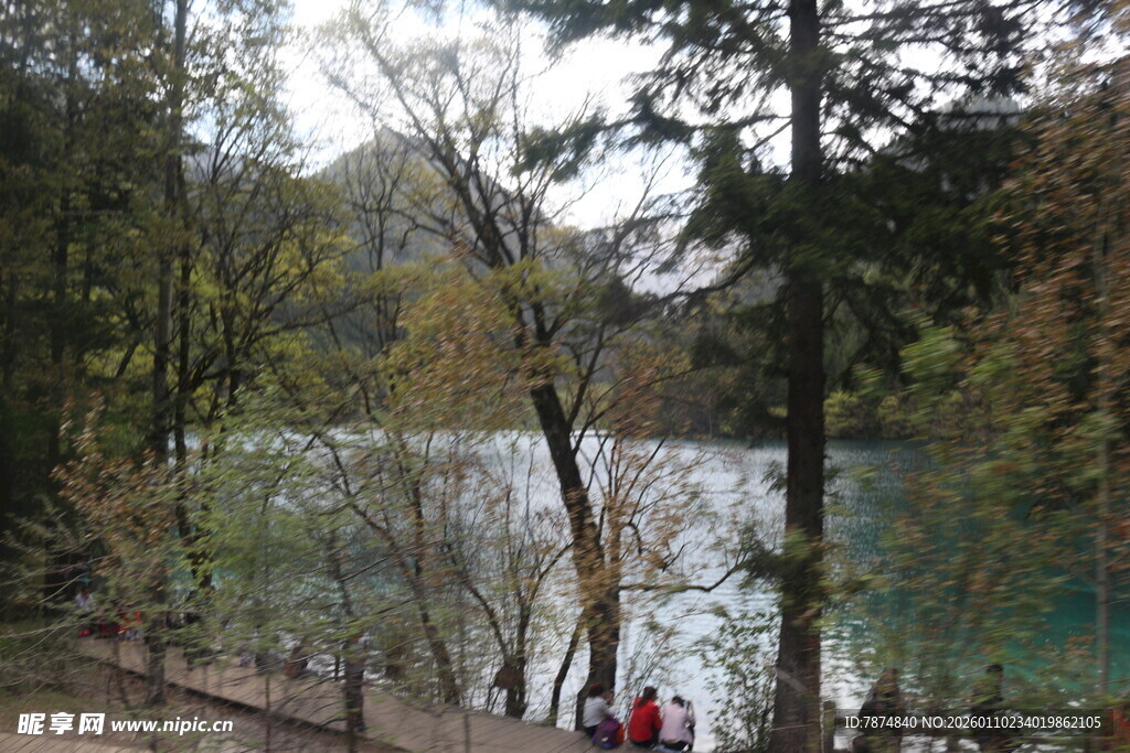 湖畔林间的游人漫步景致