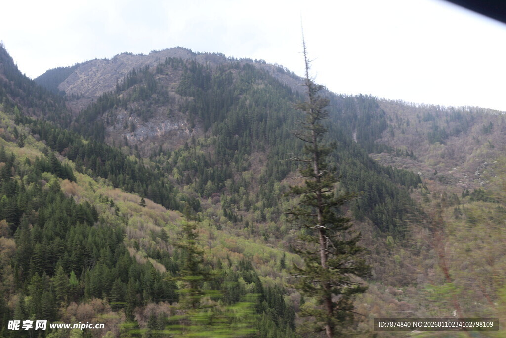 山峦葱郁的自然美景