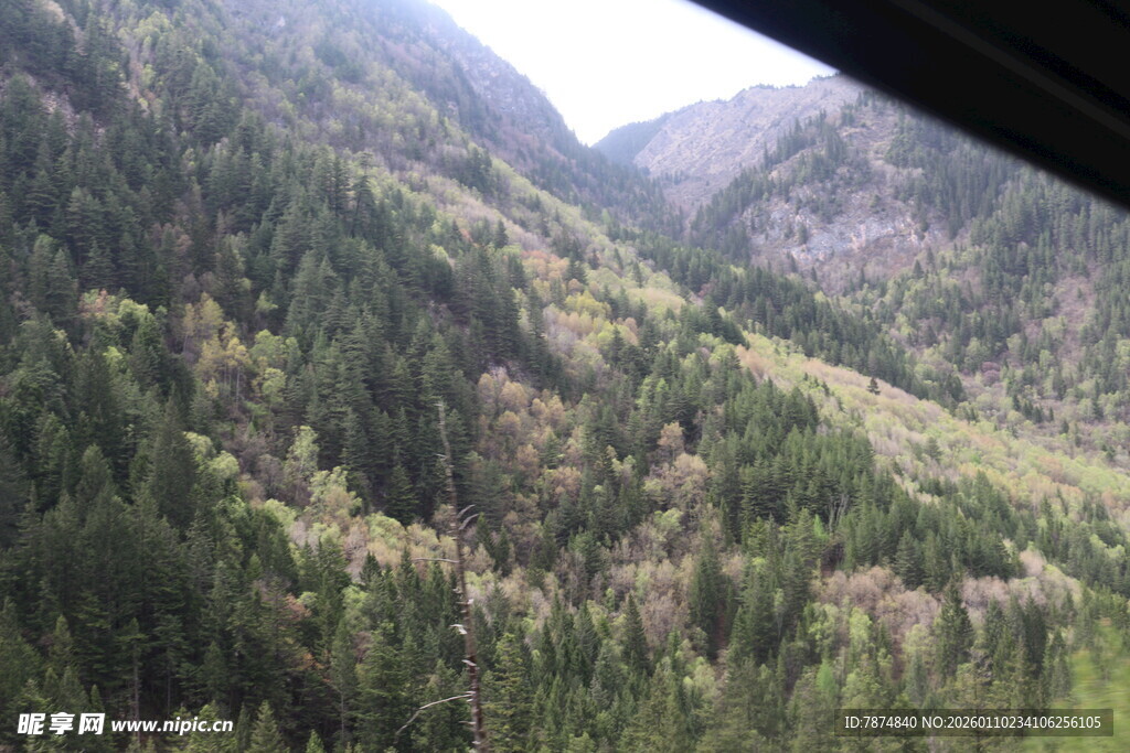 山间葱郁森林美景