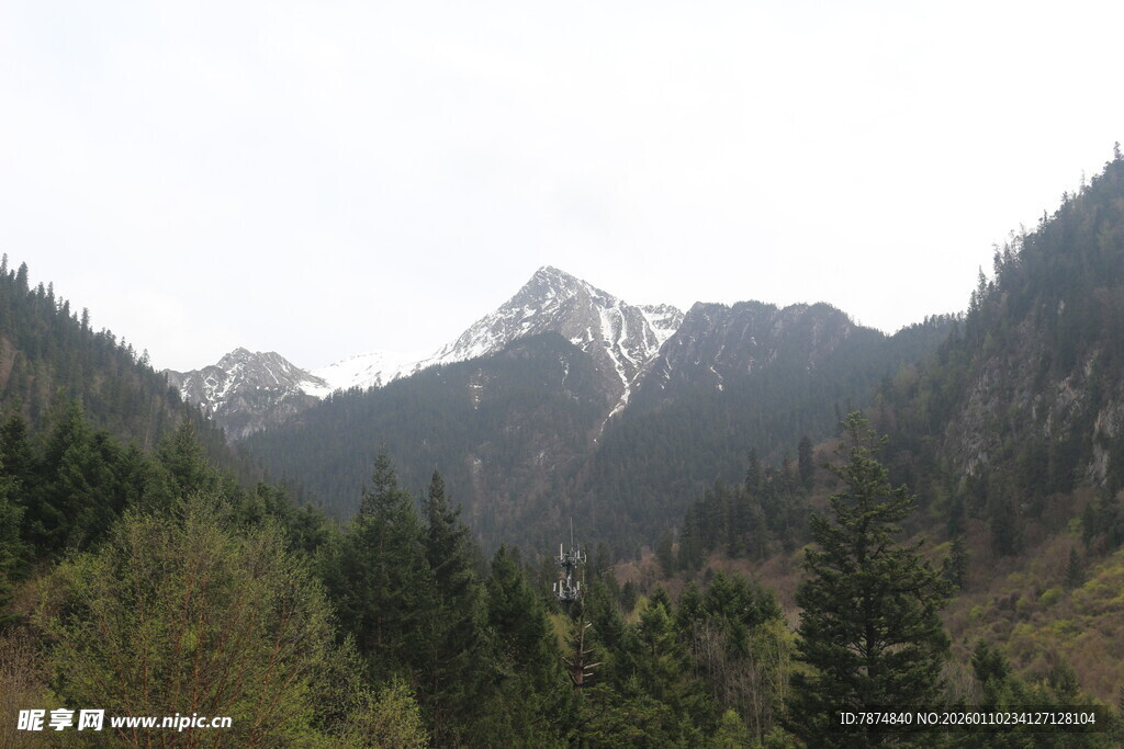 山林间的巍峨雪山景观